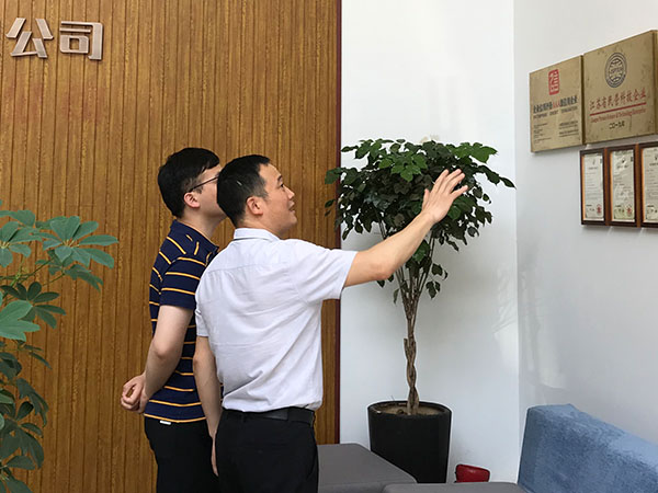 樱桃播放器自动拉钉机